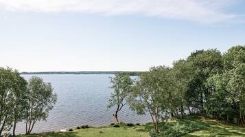 A lakeside view with a grassy area and trees.