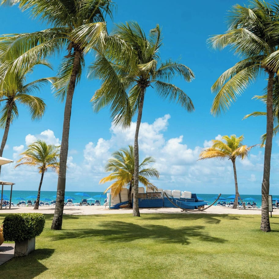 On the beach, sun loungers, beach umbrellas, beach towels
