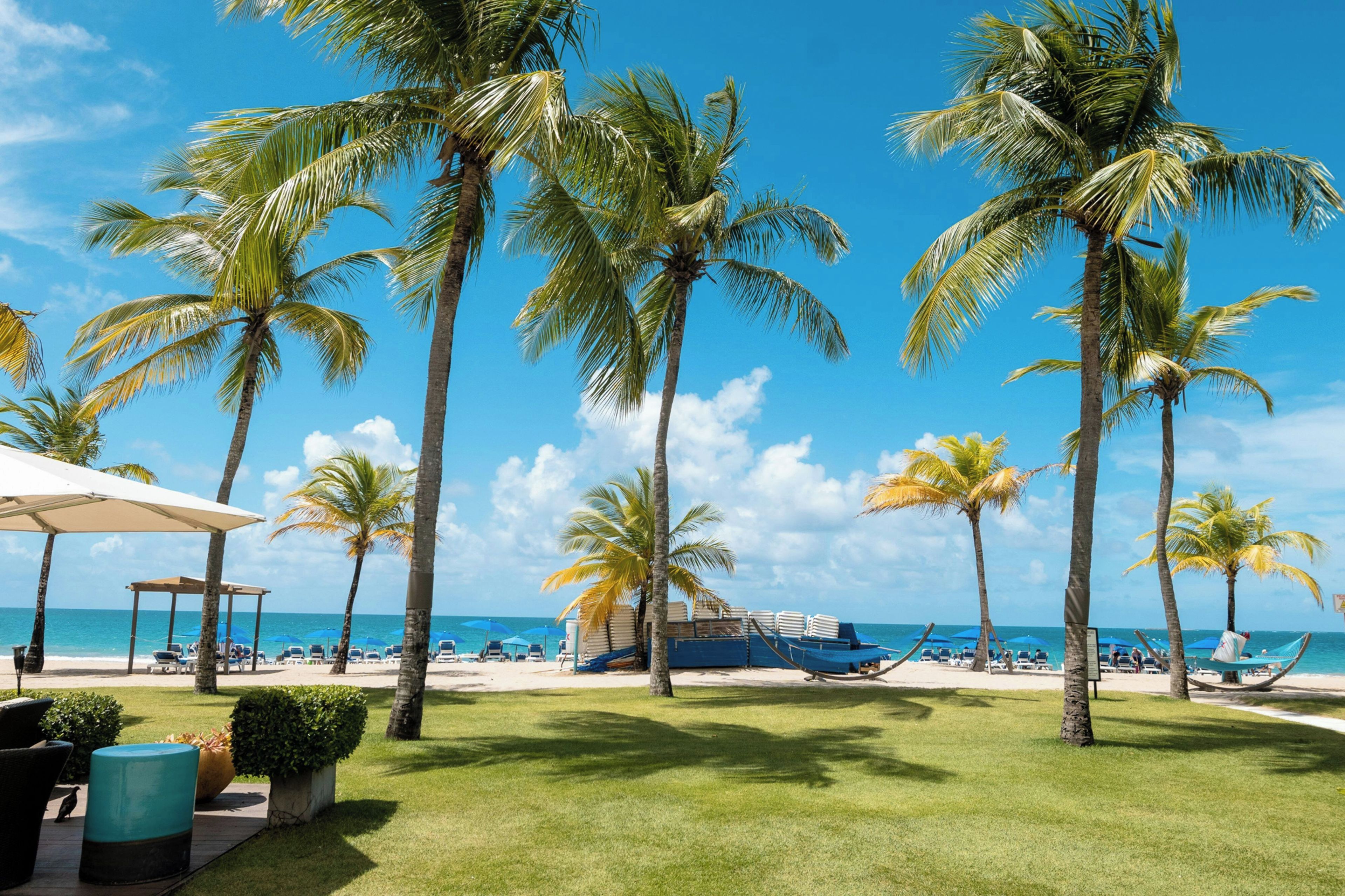 Une scène de plage avec des palmiers, des chaises longues et une vue sur l’océan.