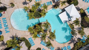 A large pool with multiple sun loungers and palm trees.