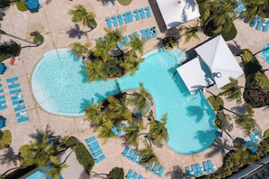 Une grande piscine dotée de nombreux transats et bordée de palmiers.