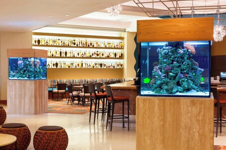 Courtyard by Marriott Isla Verde Beach Resort - Image 33