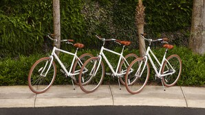 Three bicycles parked against a wall with greenery in the background.
