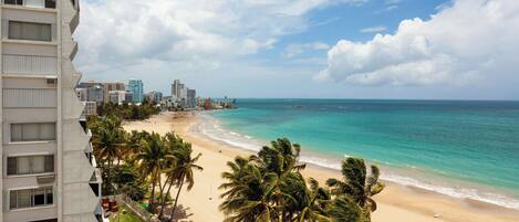 A beach with palm trees and a view of the ocean.