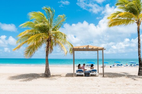 Courtyard by Marriott Isla Verde Beach Resort - Image 16
