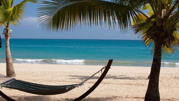 A hammock on a sandy beach with palm trees and a view of the ocean.
