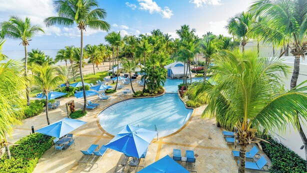 Área de piscina en un resort con palmeras, sillones de descanso y sombrillas.