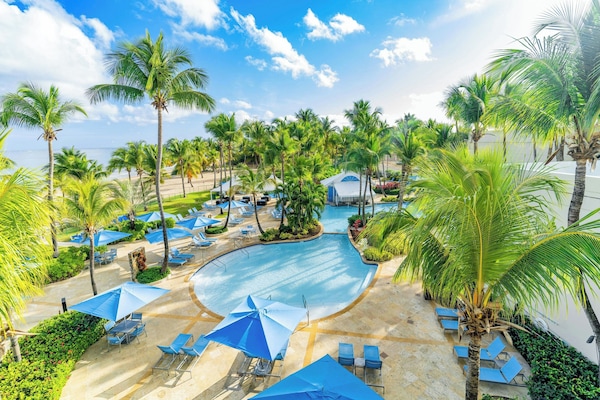 Outdoor pool, sun loungers