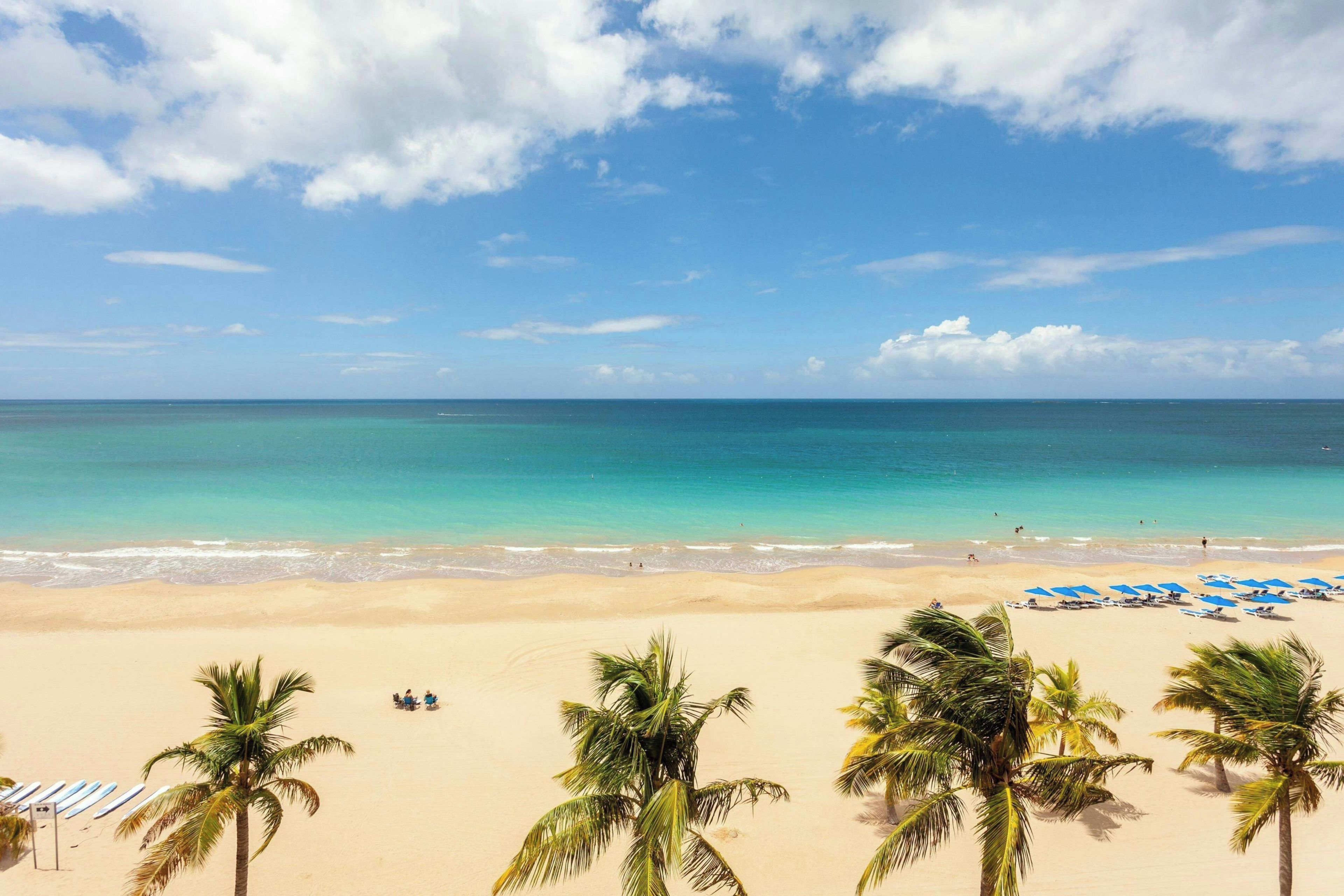 A beach with clear turquoise waters, a sandy shore, and palm trees.