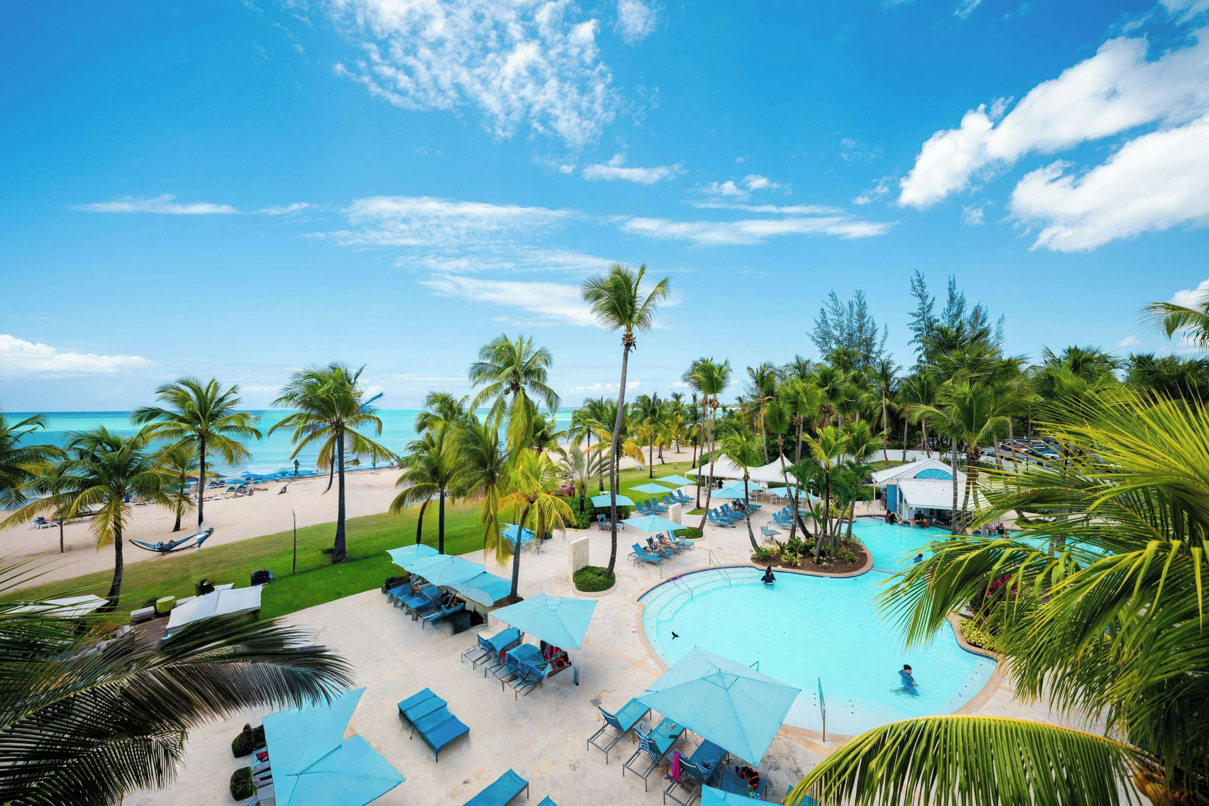 Un resort con piscina, sillas de descanso y palmeras.