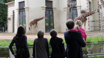 A group of people observing giraffes at a zoo enclosure with a building featuring decorative columns and doors.