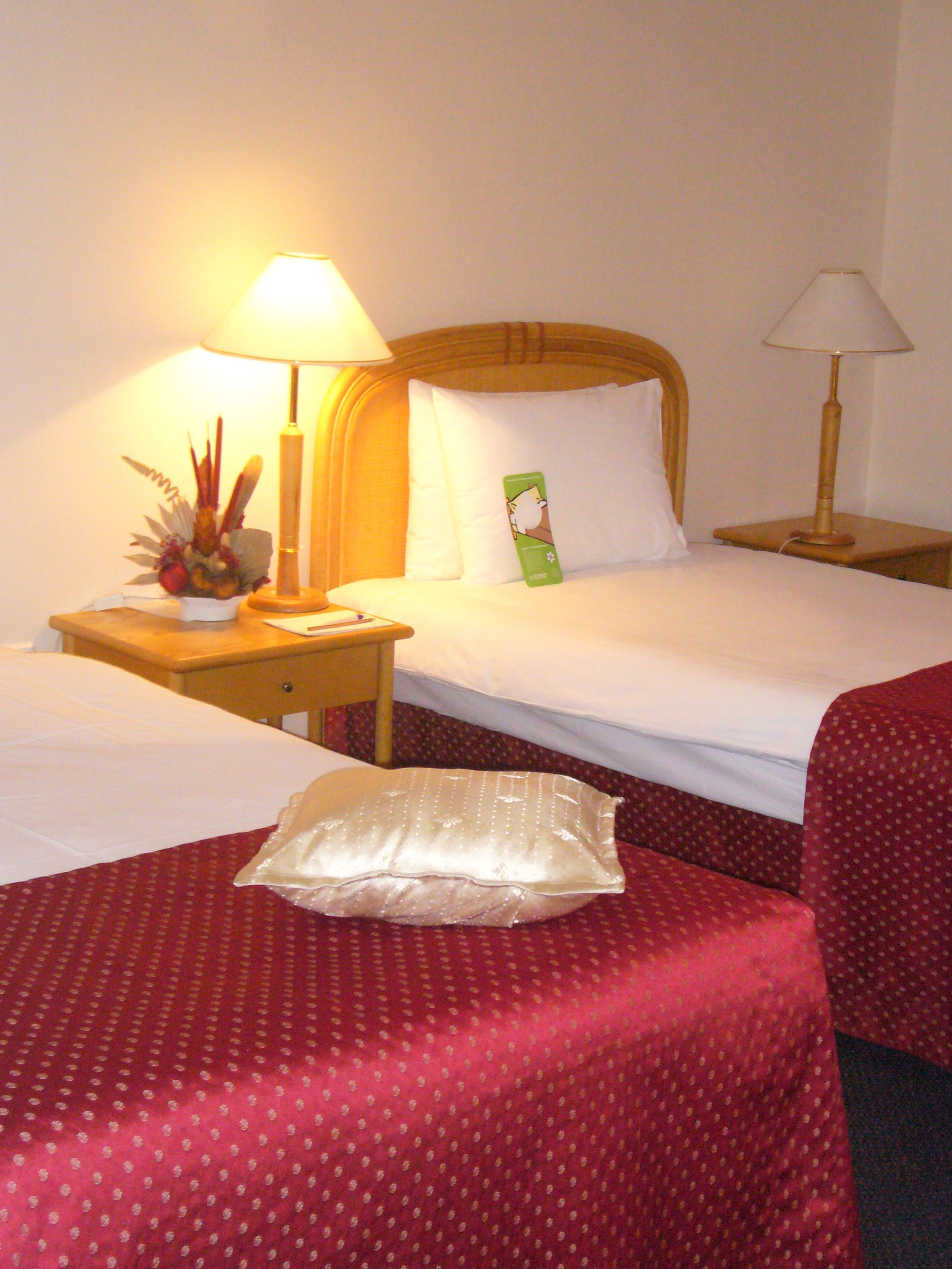 Una habitación de hotel con dos camas, una mesita de noche con lámpara, una pequeña mesa con planta y un cojín en el suelo.