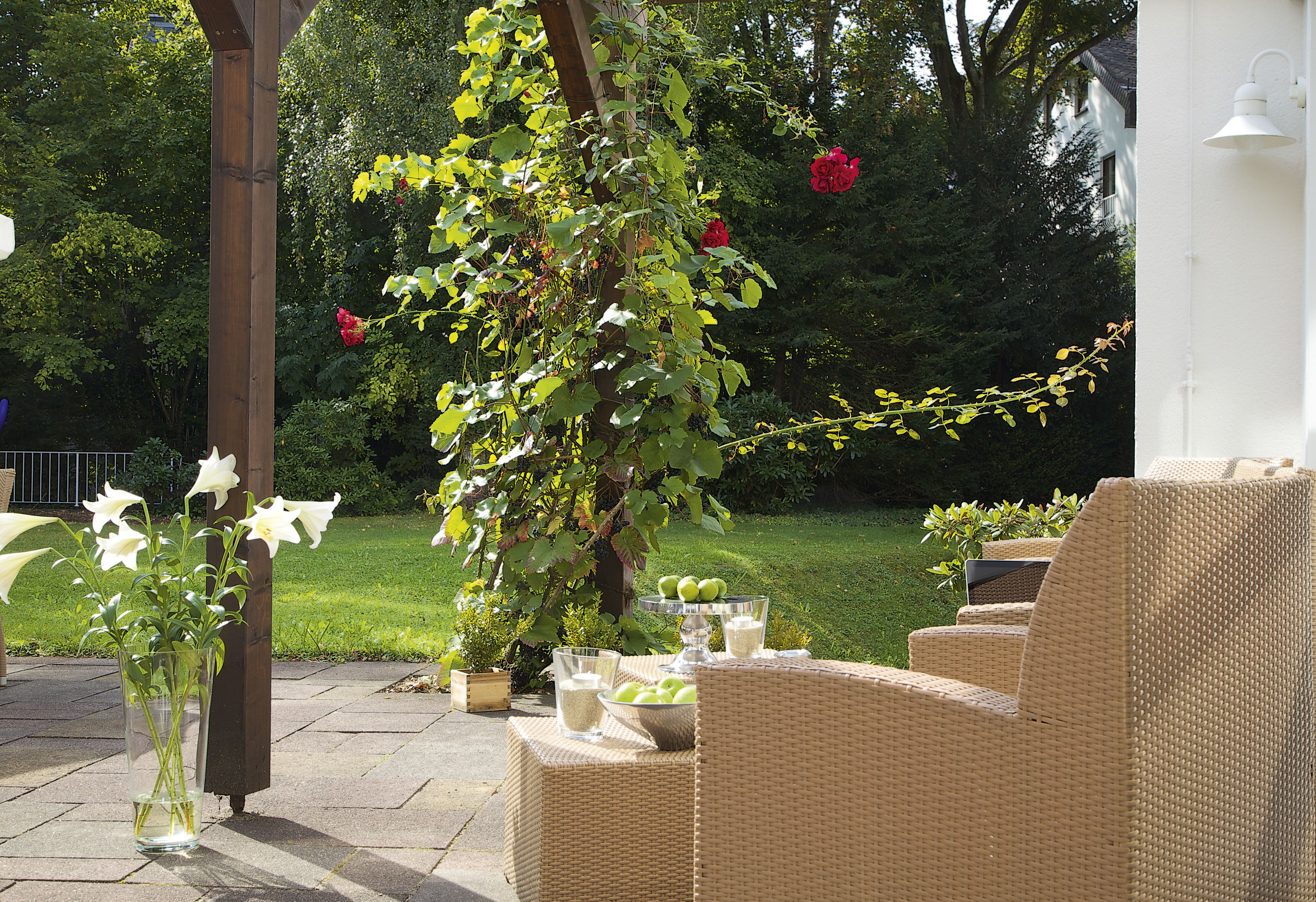 An outdoor patio with wicker furniture, a glass vase with flowers, and a pergola with climbing plants.