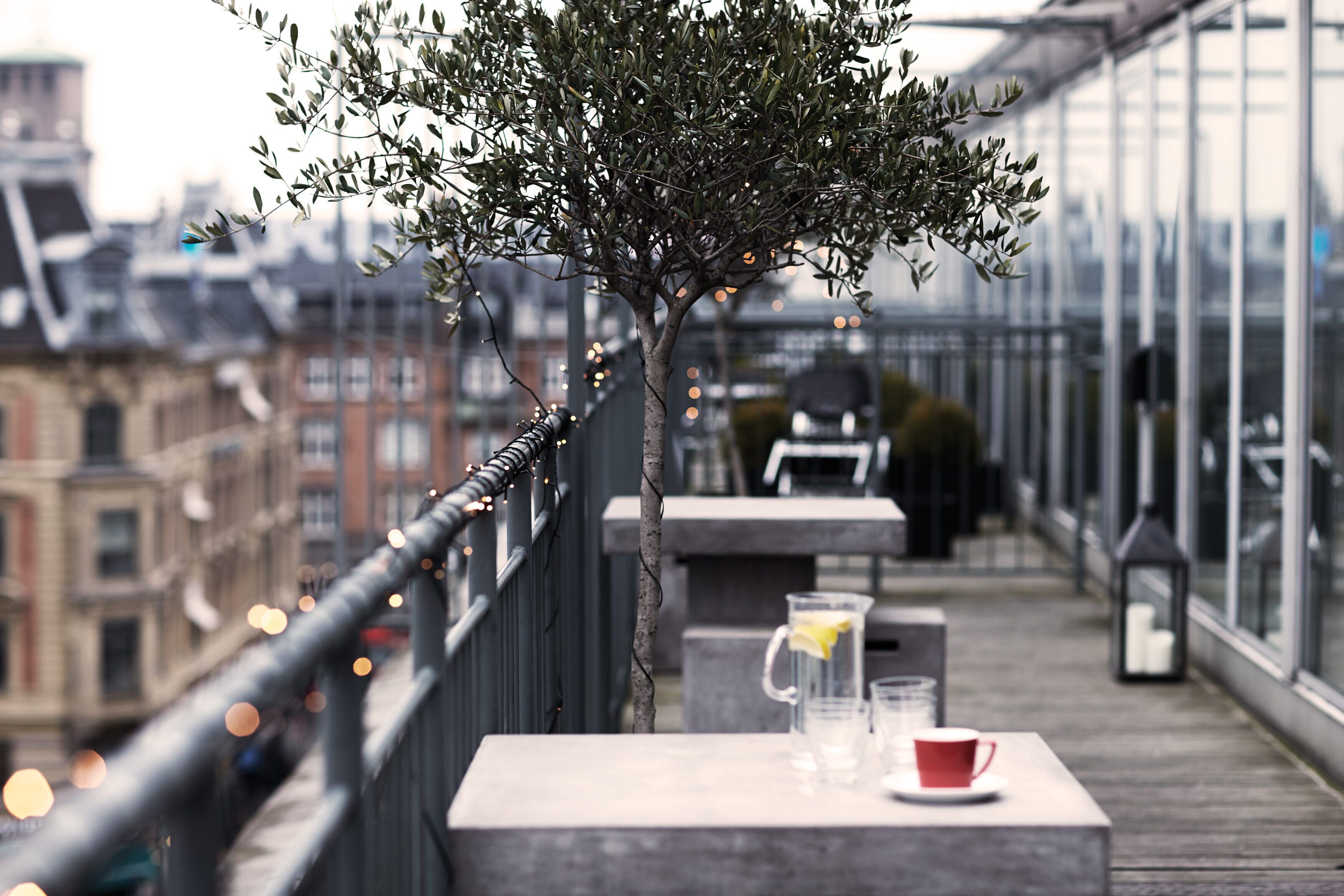 rooftop terrace