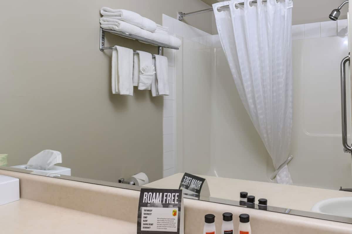 Bathroom | Combined shower/tub, free toiletries, hair dryer, towels