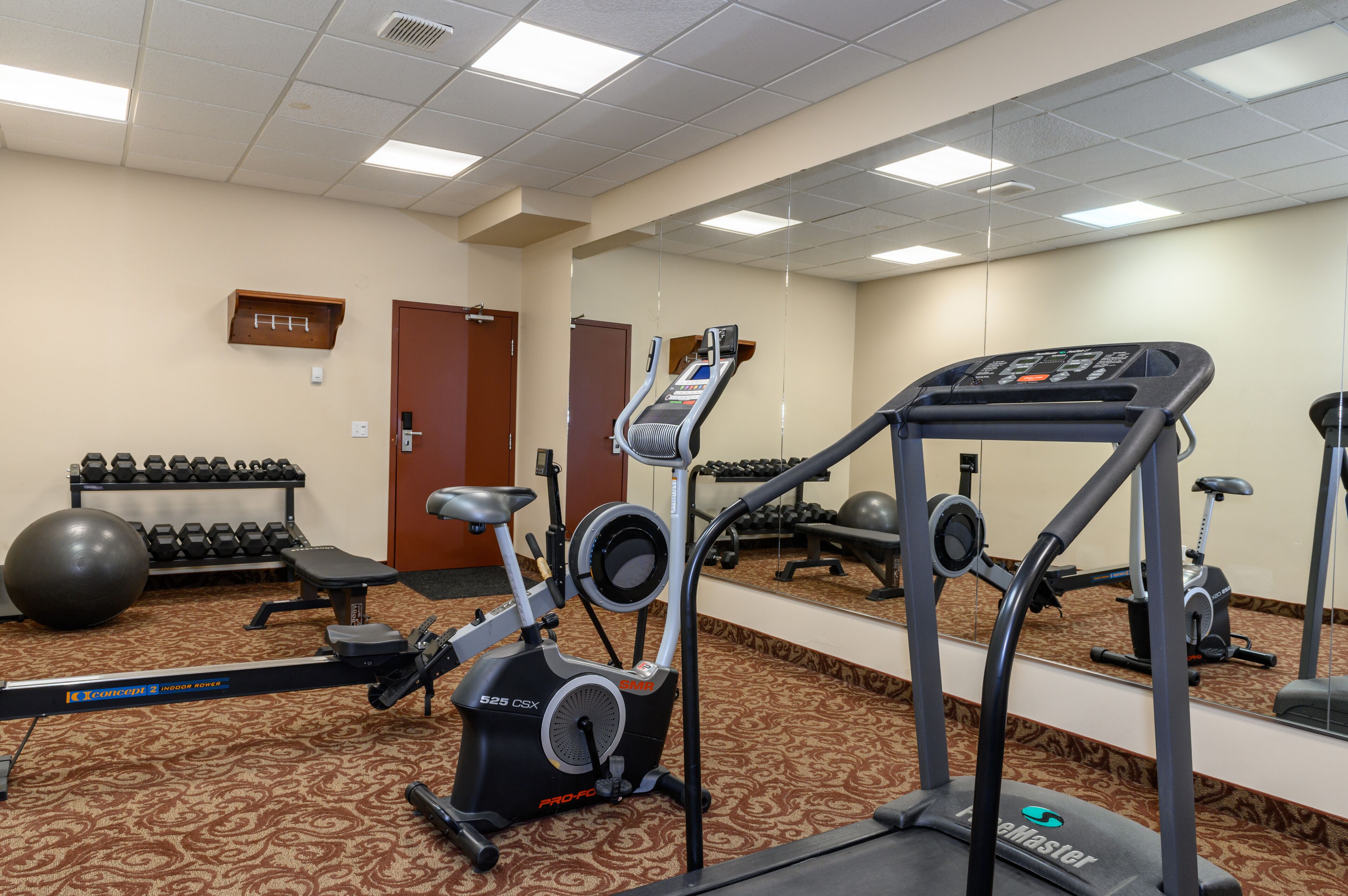 A gym with cardio equipment, dumbbells, and exercise balls.