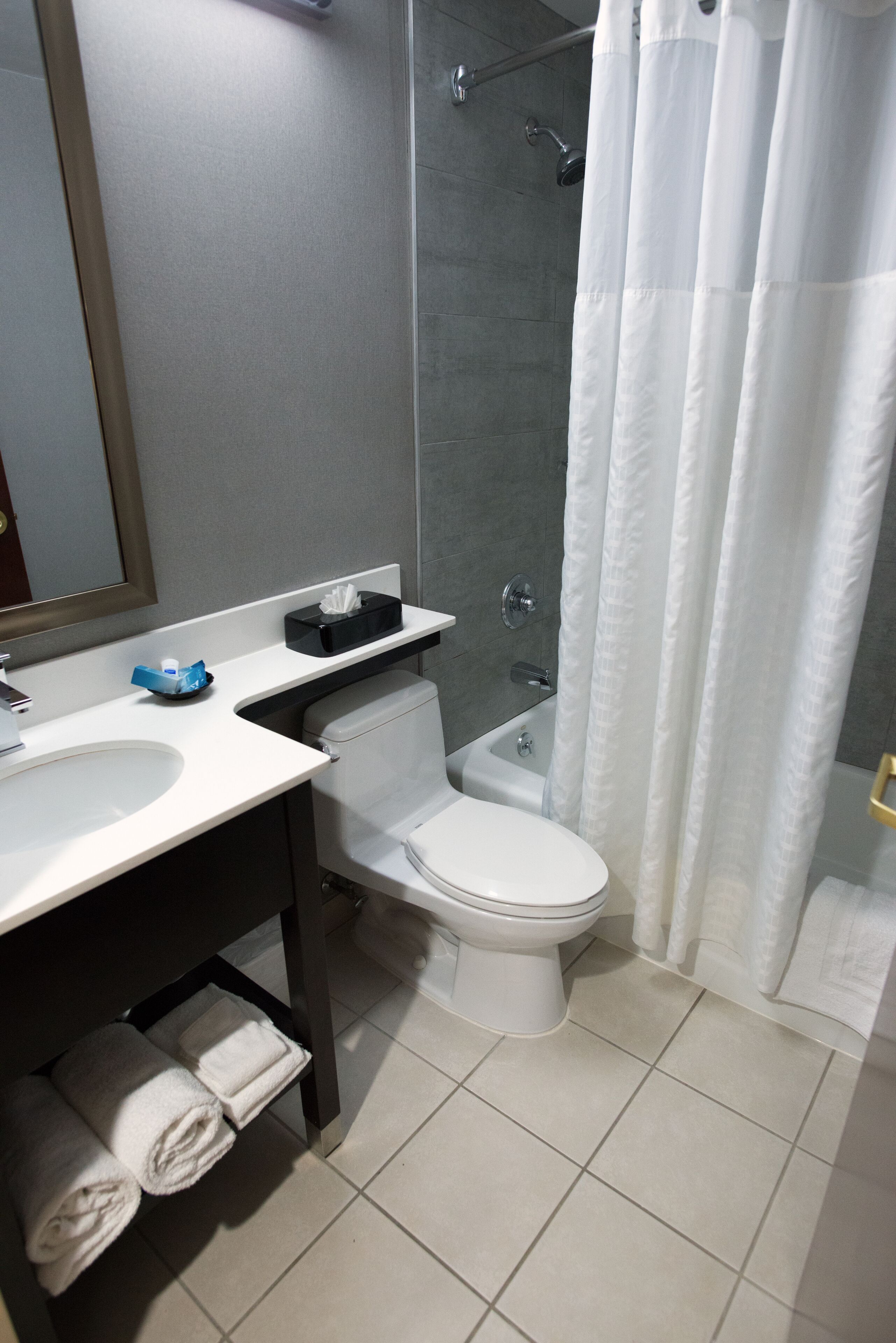 combined shower/bathtub, free toiletries, hair dryer, towels
