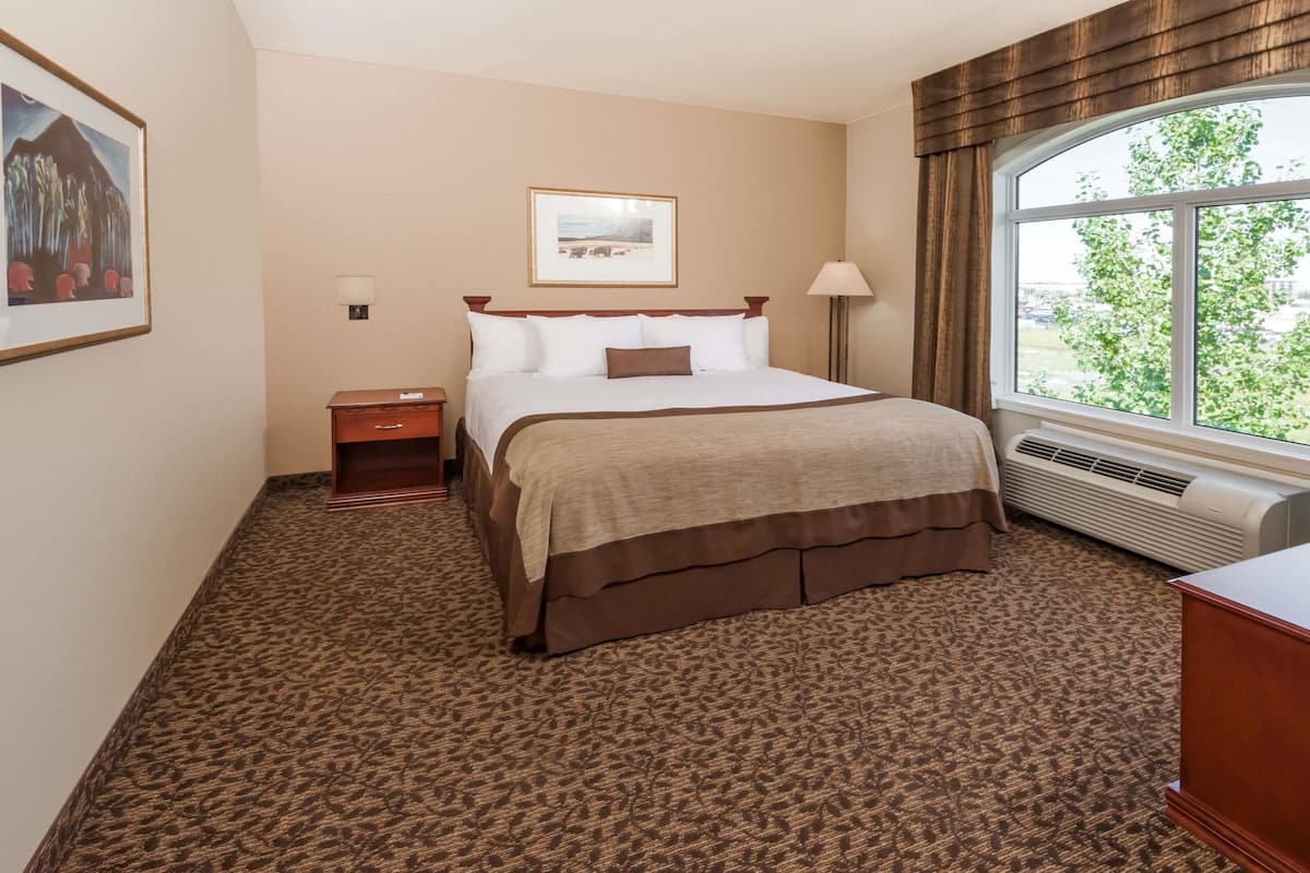 A hotel room with a large bed, a nightstand, a lamp, a framed picture on the wall, and a window with a view of greenery.