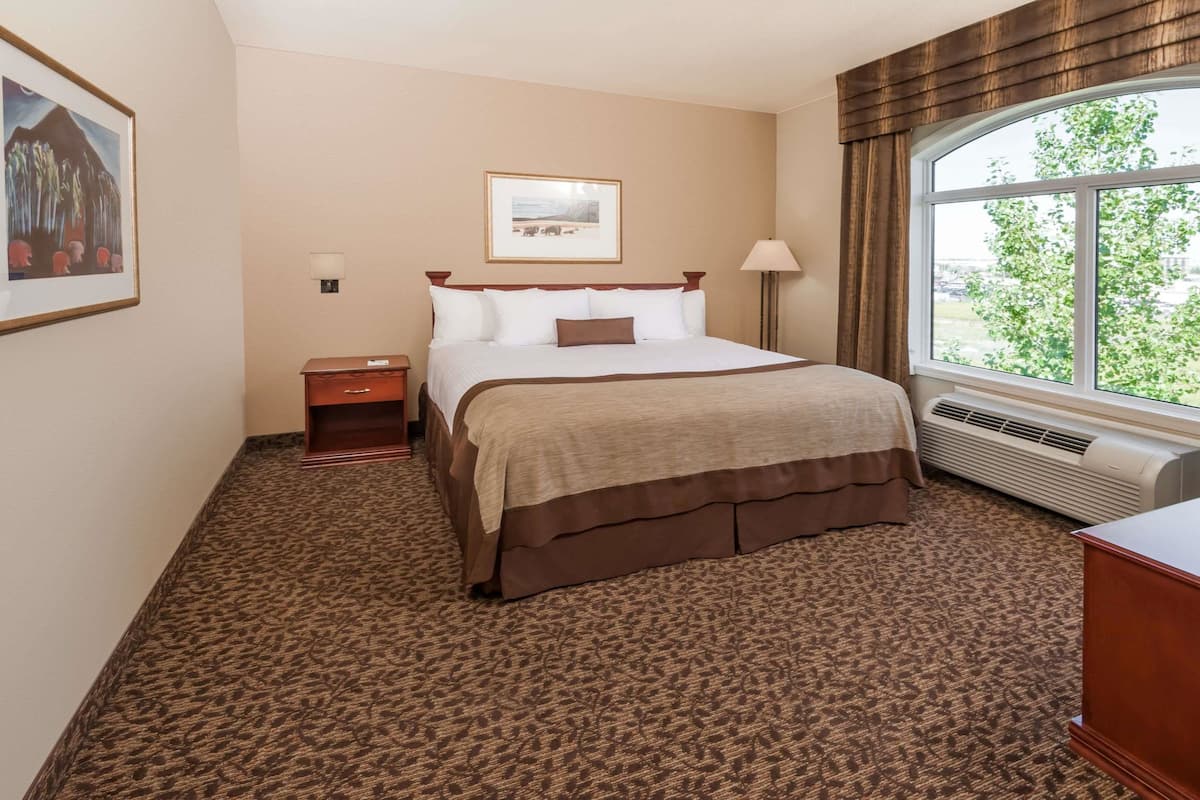 Standard Room, 1 Queen Bed, Accessible | View from room