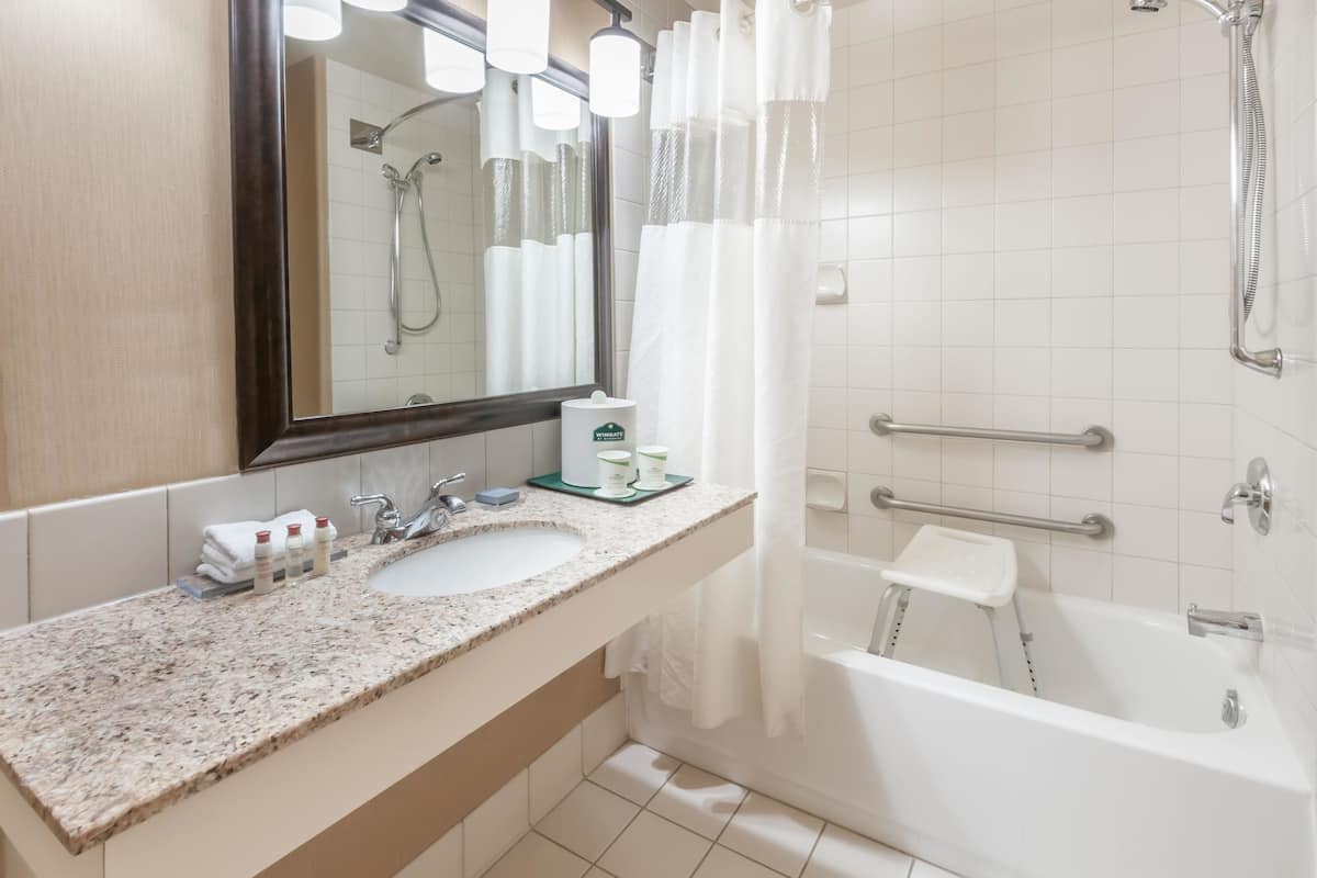 standard room, 1 queen bed, accessible | bathroom | free toiletries, towels