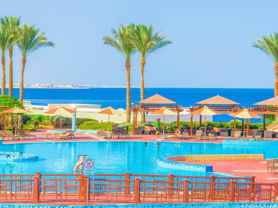 Zona de piscina con sillones de descanso y sombrillas, palmeras y vista al mar.