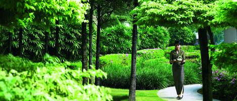 Un sendero en un parque verde y exuberante, con árboles y arbustos.