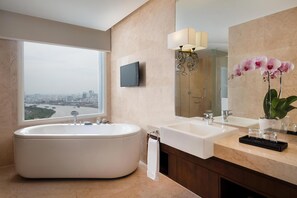 Separate tub and shower, free toiletries, hair dryer, bathrobes