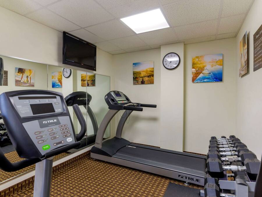 A gym with treadmills, a stationary bike, and dumbbells.
