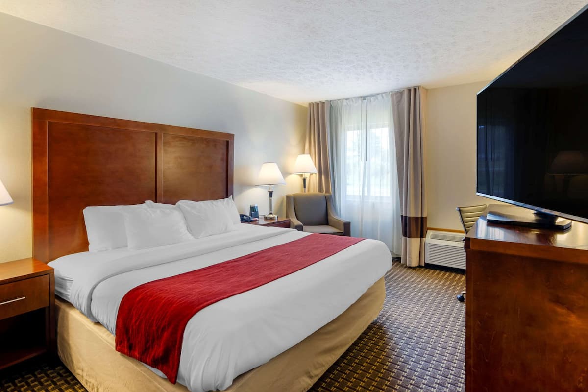 room, 1 king bed, accessible, non smoking | iron/ironing board, free wifi, bed sheets