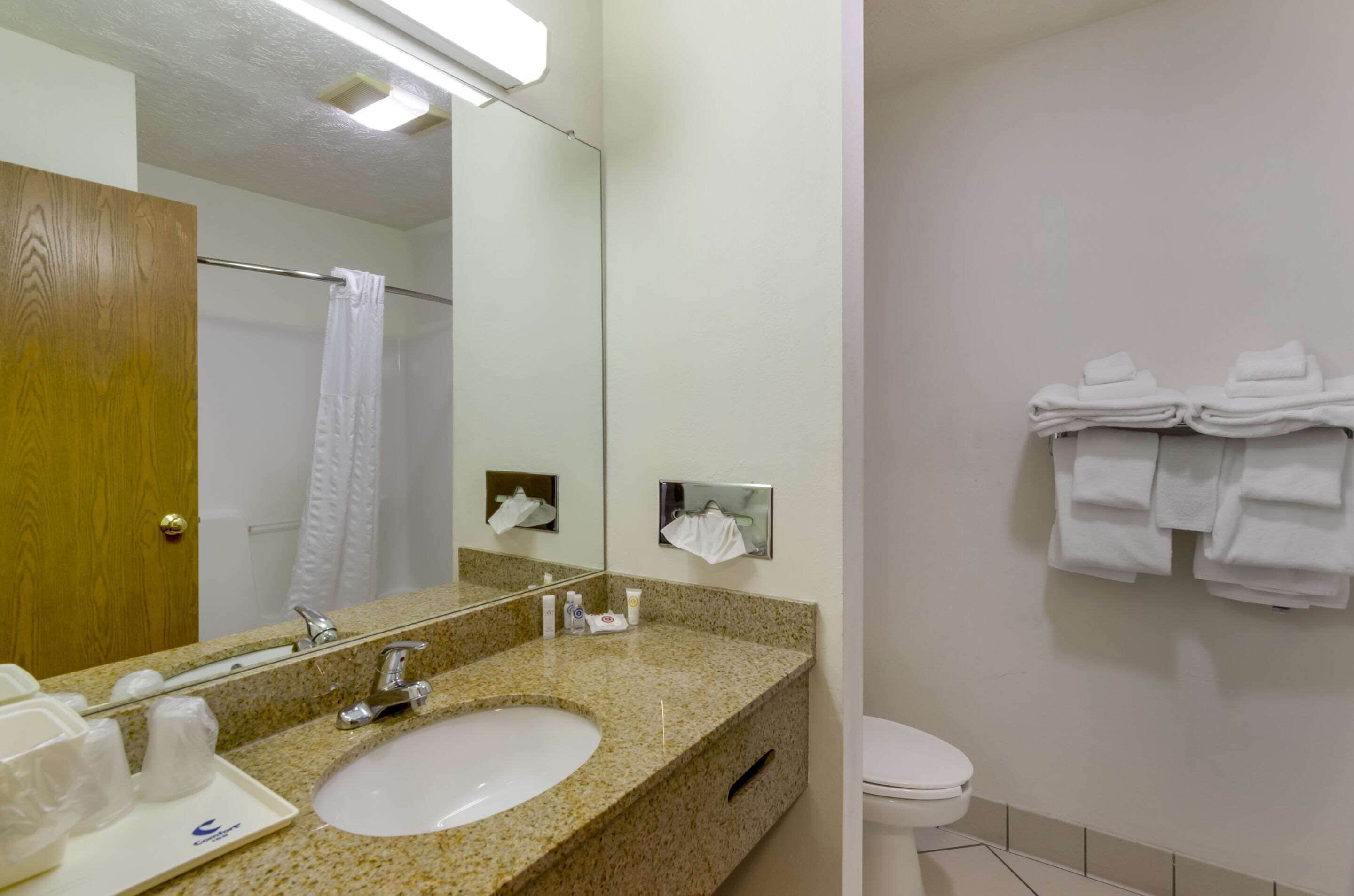 standard double room, 2 double beds, non smoking | iron/ironing board, free wifi, bed sheets