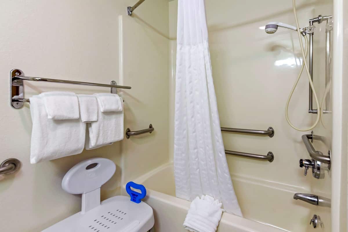 room, 1 king bed, accessible, non smoking | iron/ironing board, free wifi, bed sheets