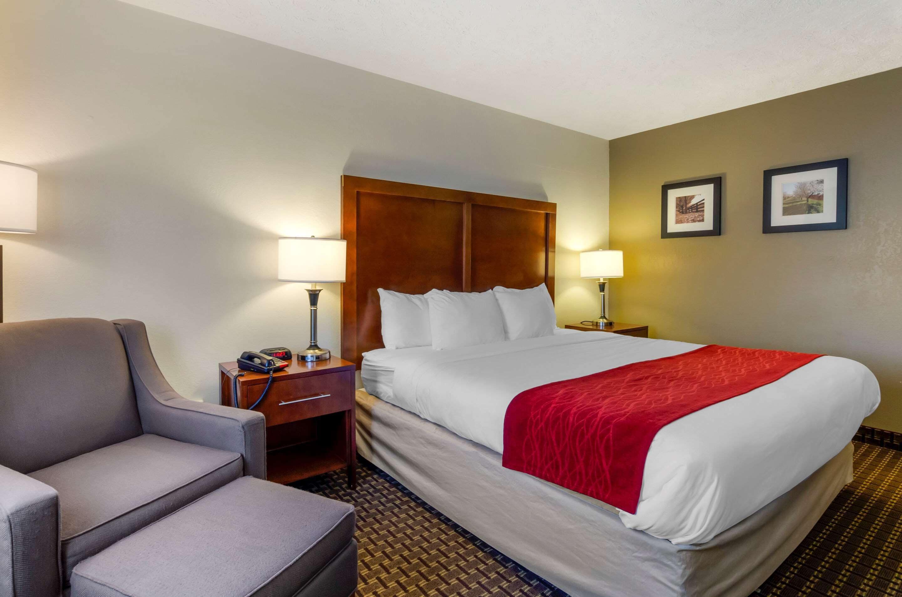 standard room, 1 king bed, non smoking | iron/ironing board, free wifi, bed sheets