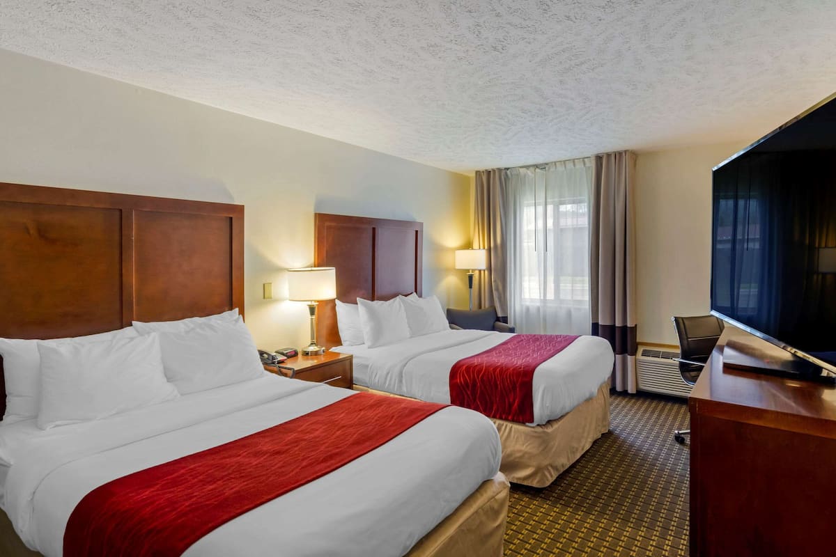 room, 2 single beds, non smoking (pet friendly) | iron/ironing board, free wifi, bed sheets