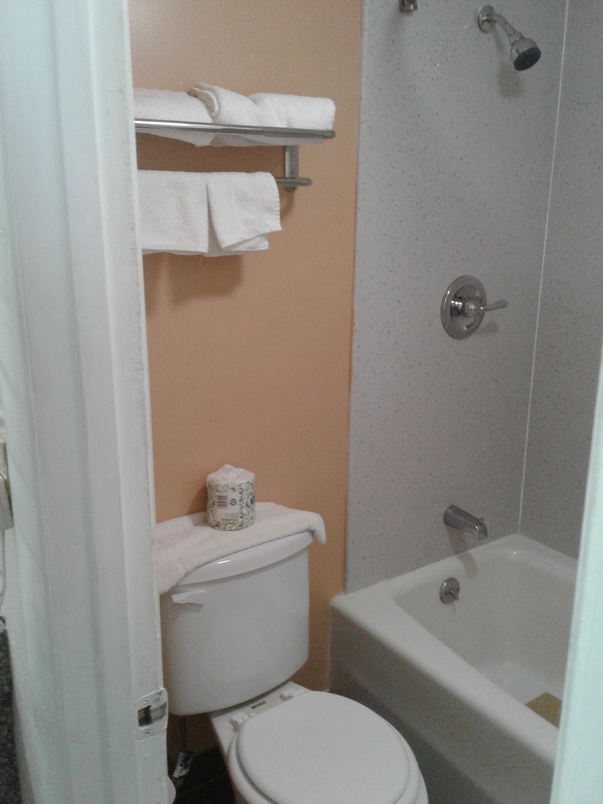 A bathroom with a toilet, a shower, and a bathtub. There are towels on a rack above the toilet.
