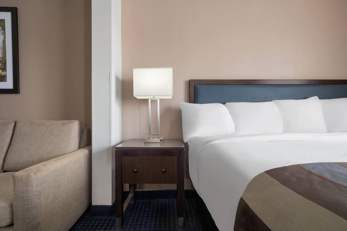 A hotel room with a bed, a nightstand with a lamp, a chair, and a wall-mounted picture.