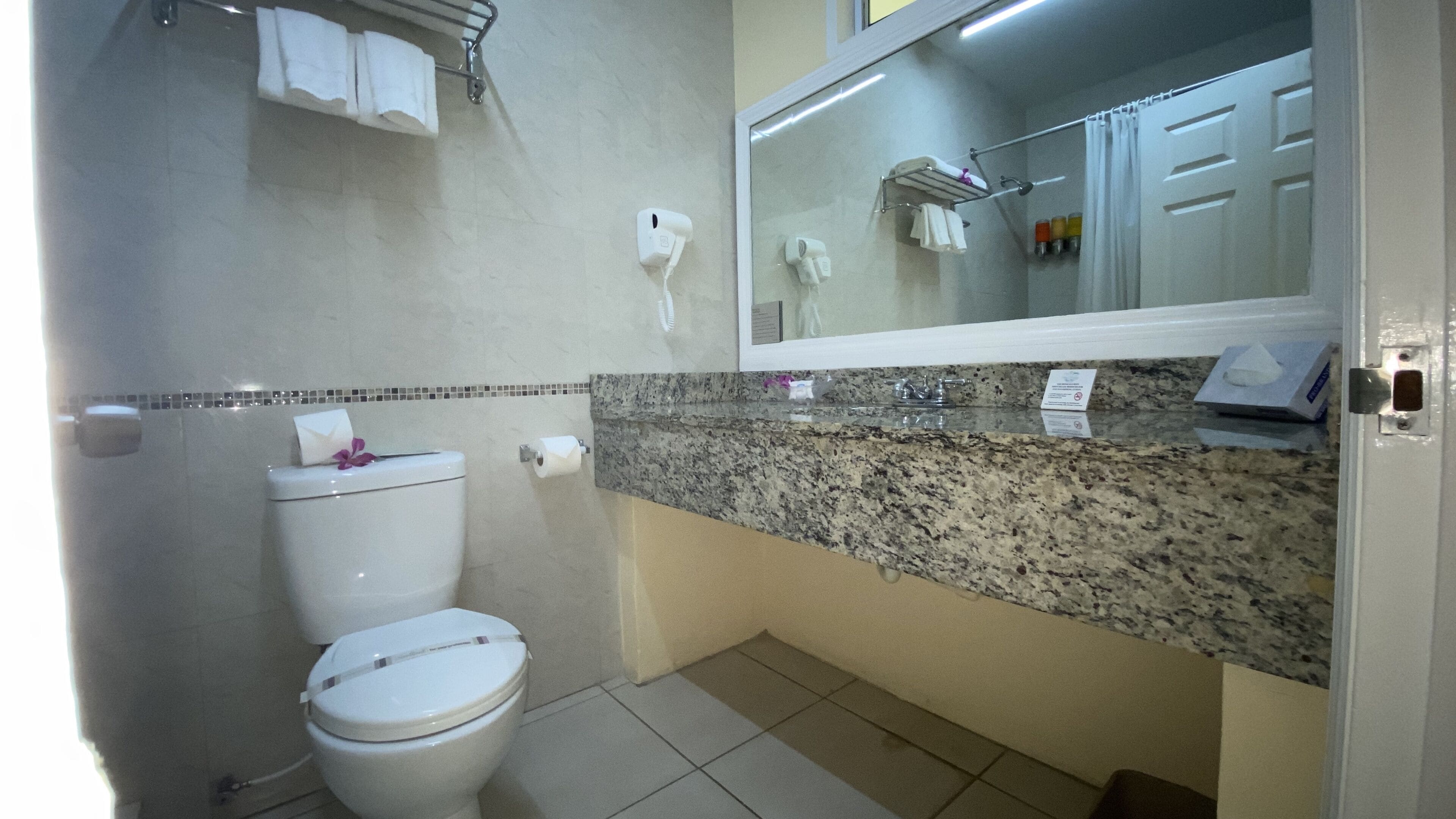 combined shower/bathtub, free toiletries, hair dryer, towels