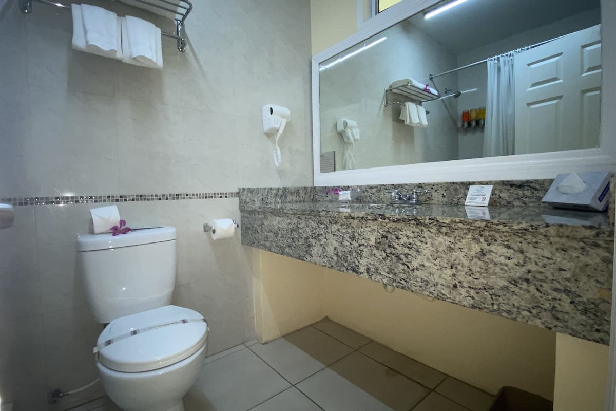 combined shower/bathtub, free toiletries, hair dryer, towels