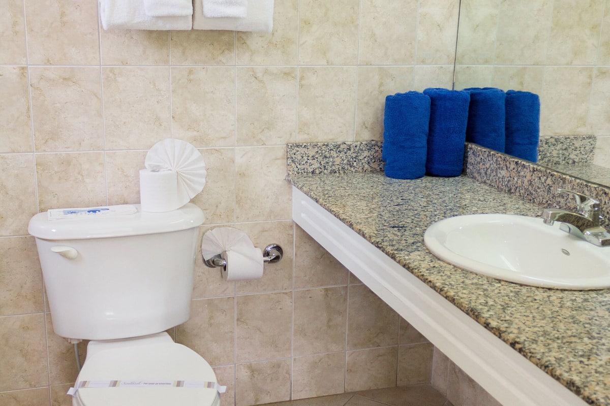 combined shower/bathtub, free toiletries, hair dryer, towels