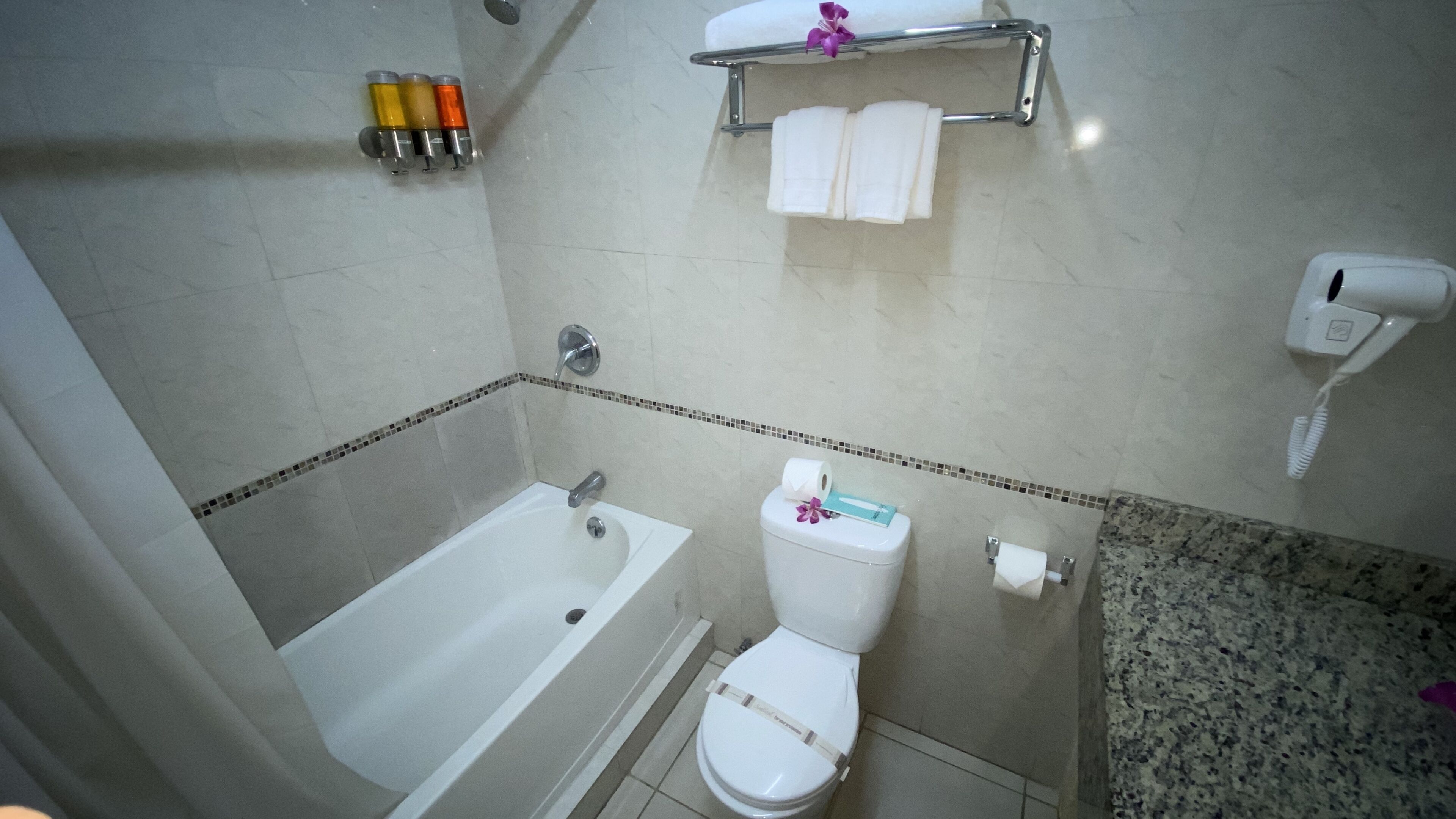 combined shower/bathtub, free toiletries, hair dryer, towels