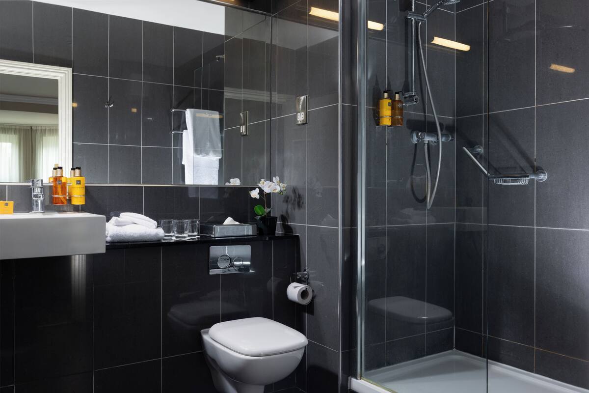 combined shower/bathtub, free toiletries, hair dryer, towels