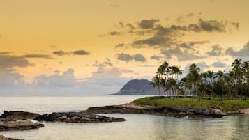 Un paysage côtier avec une rive rocheuse, des palmiers et une montagne à l’horizon.