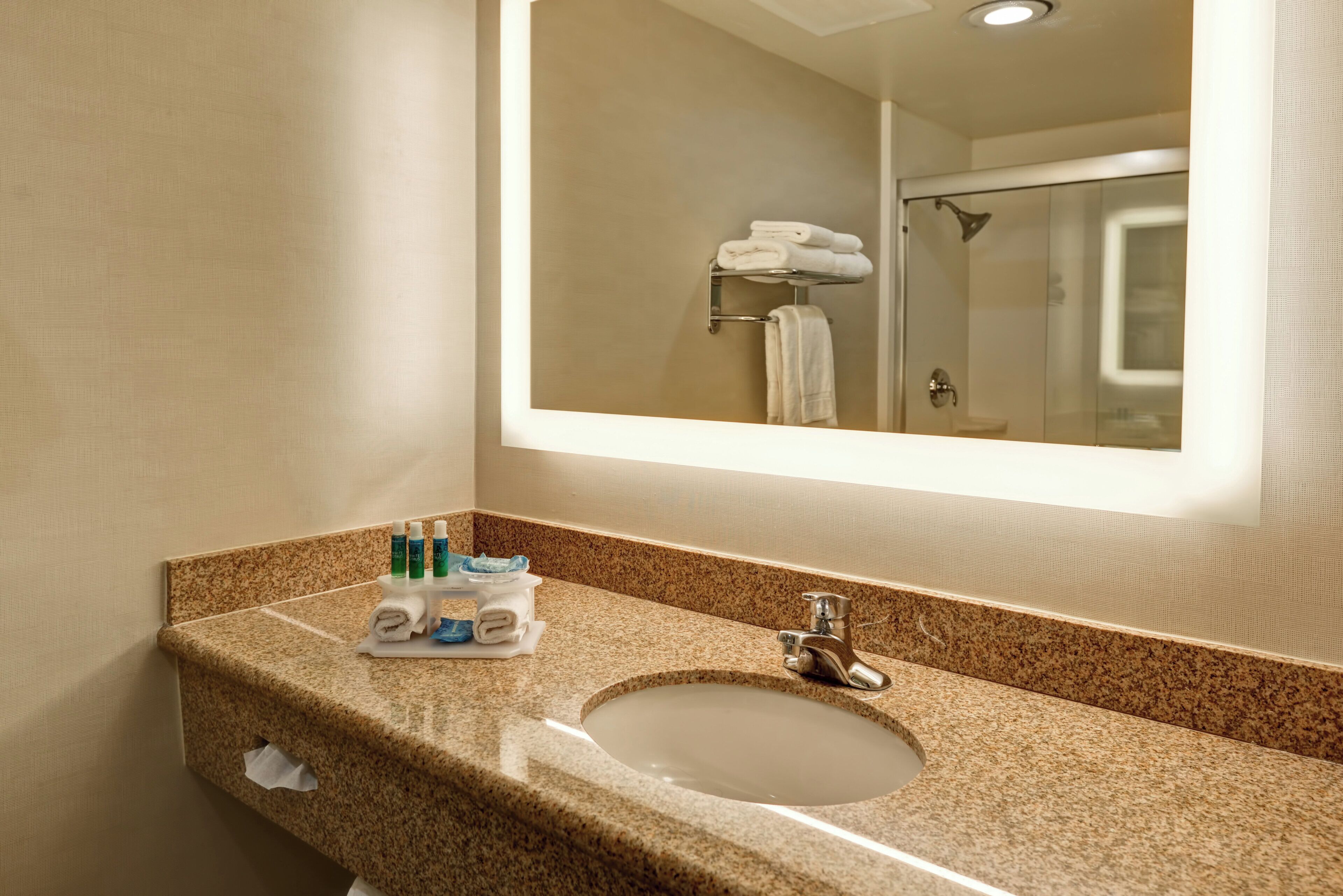 A bathroom with a granite countertop, a sink, a mirror, and a shower visible in the reflection.