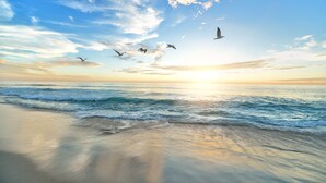 A beach with waves and birds flying in the sky.