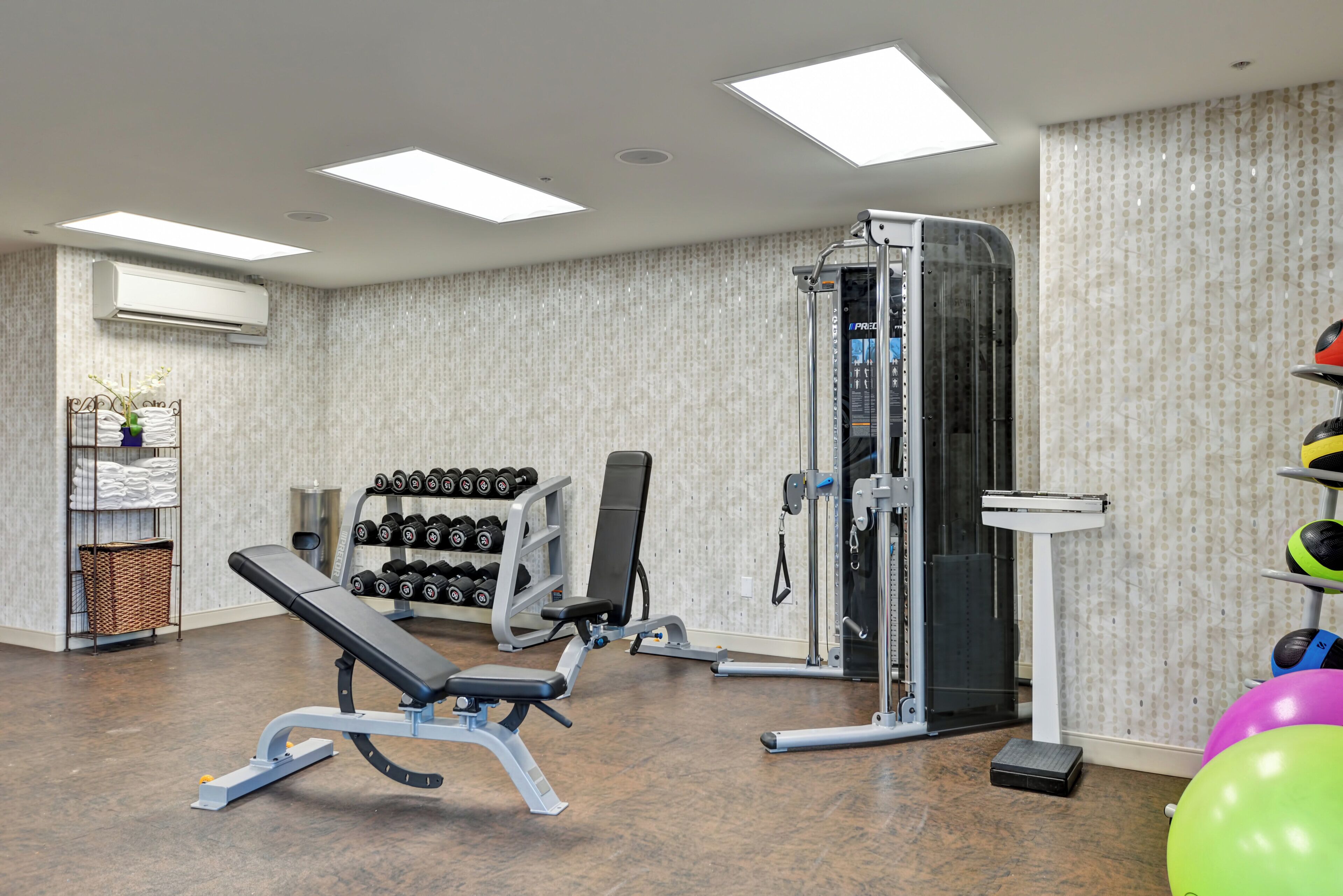 A gym with a bench press, weight racks, a squat rack, and exercise balls.