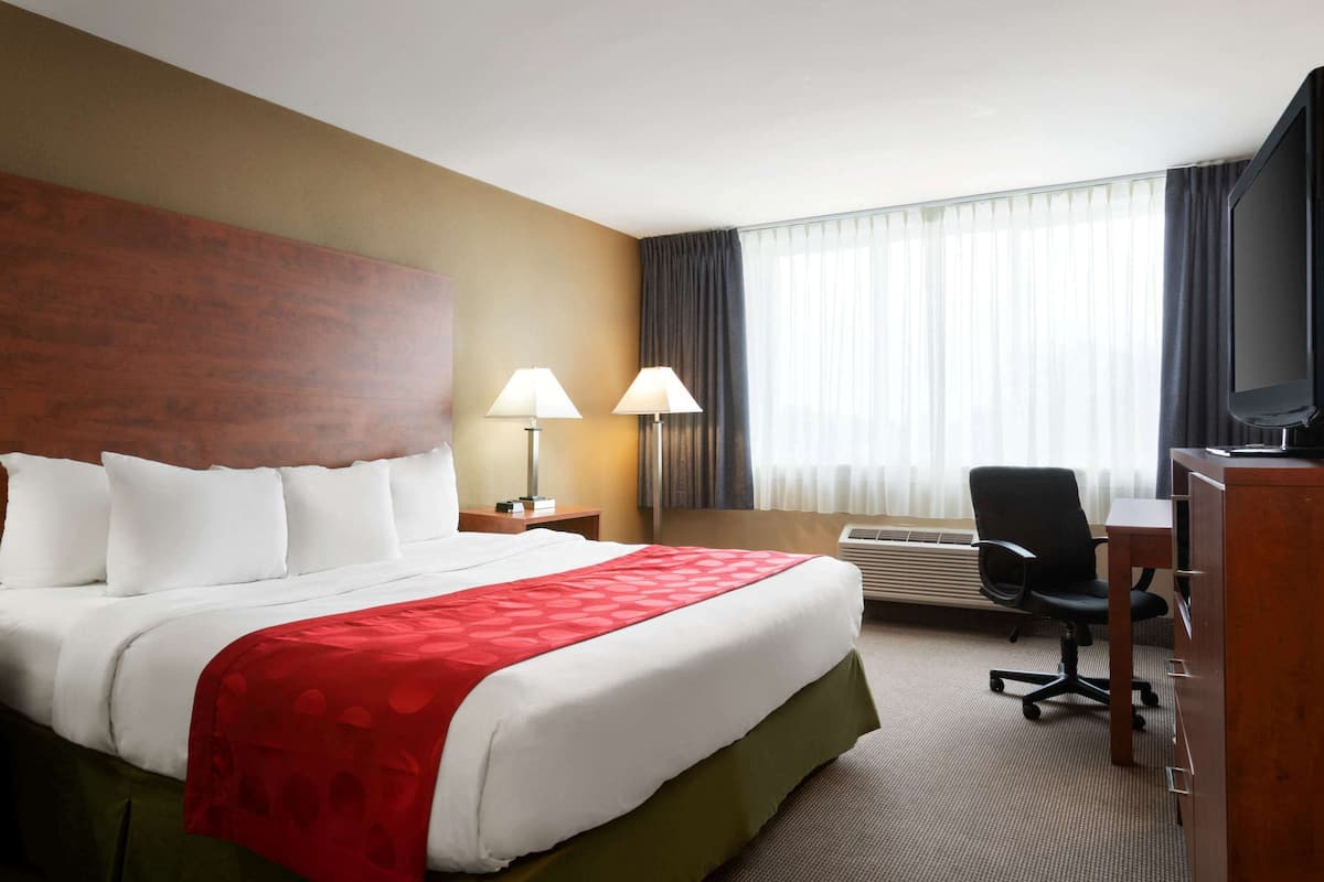 Room, 1 King Bed, Non Smoking