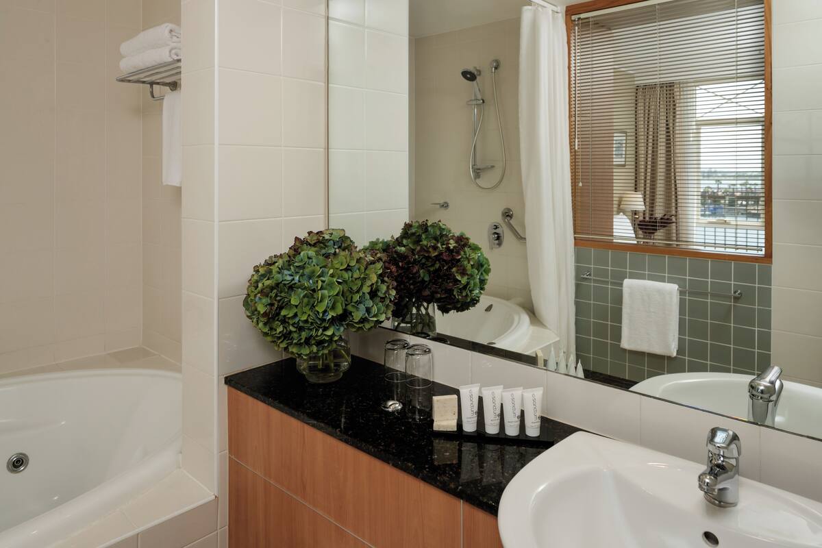 combined shower/bathtub, free toiletries, hair dryer, towels