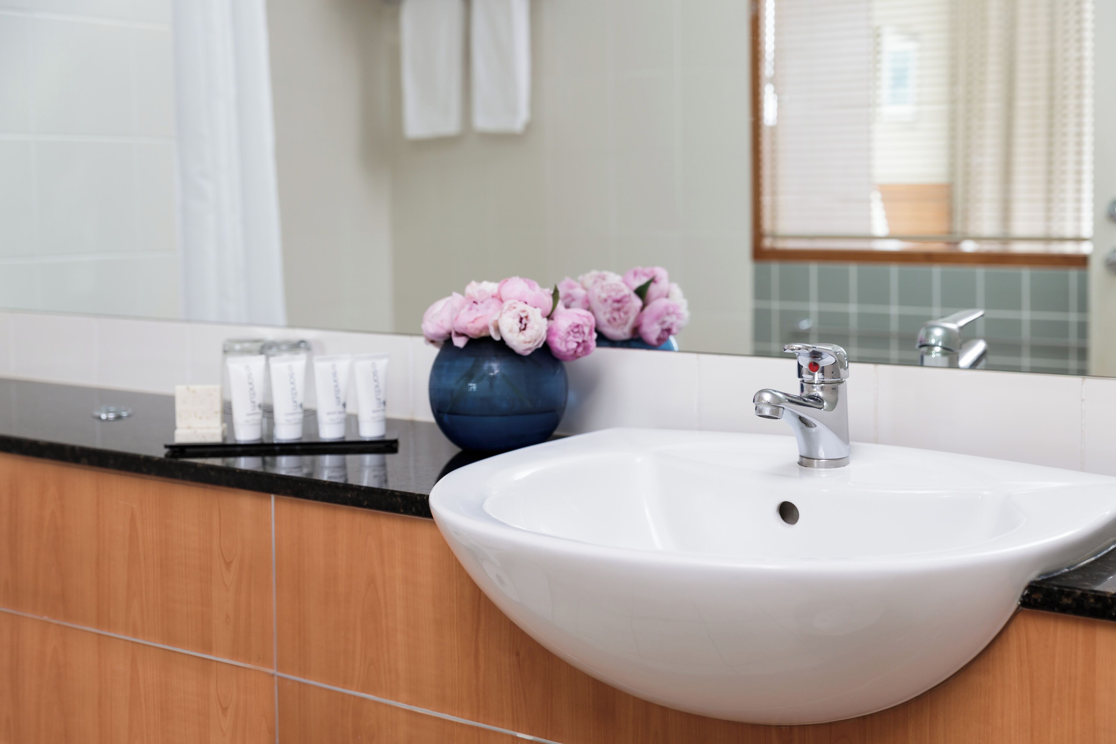 combined shower/bathtub, free toiletries, hair dryer, towels