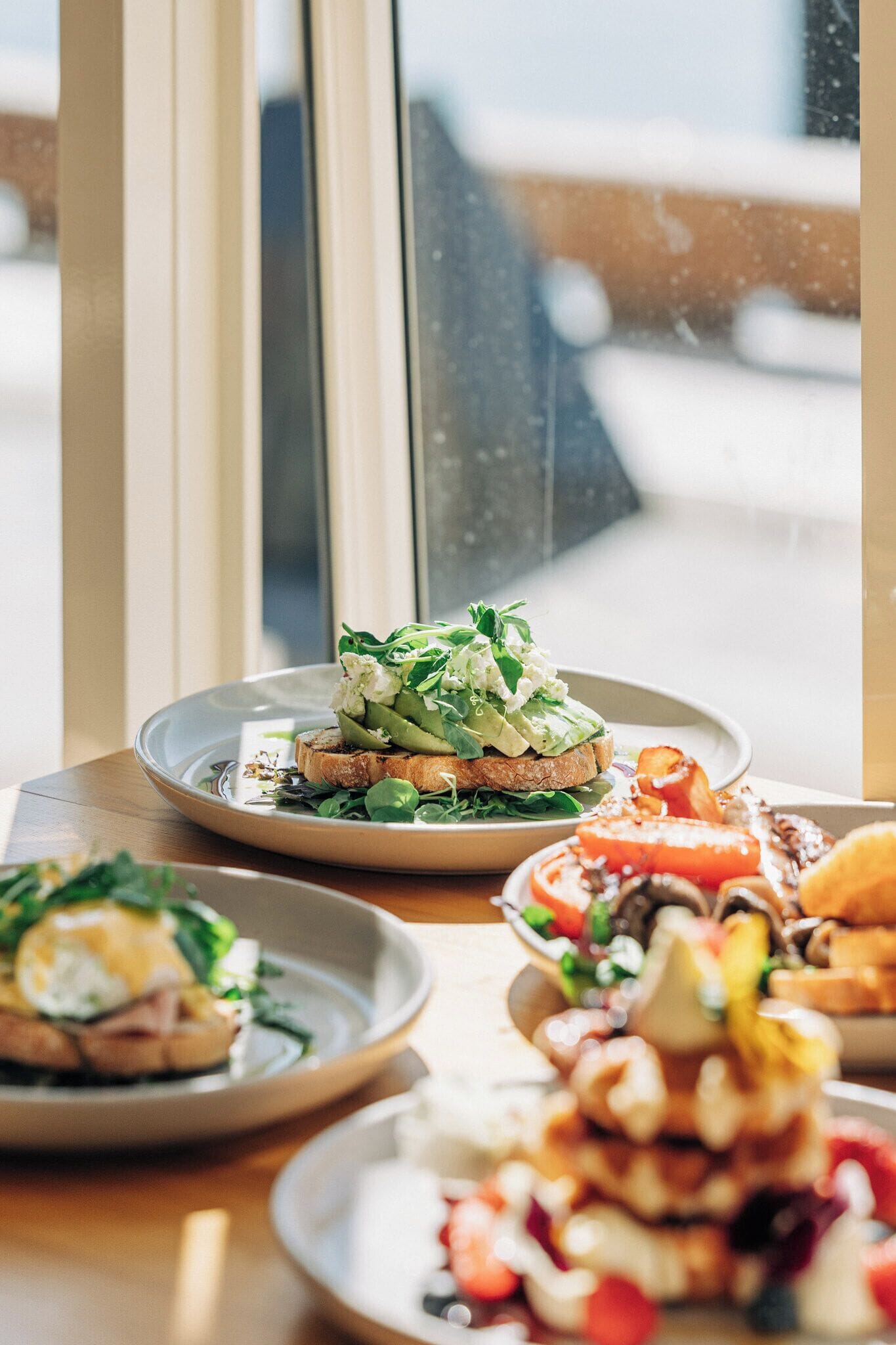 A dining table with various dishes, including a sandwich with greens and cheese, a plate with a fruit salad, and a dessert with nuts and berries.