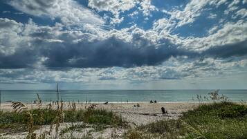 A beach with a path leading to the water, surrounded by grass and dunes.