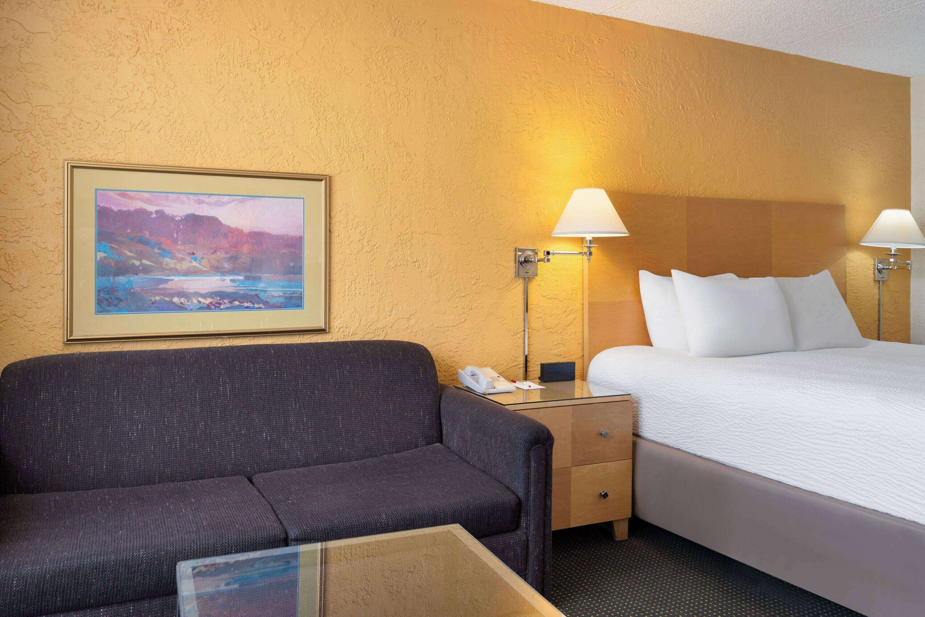 A hotel room with a bed, a sofa, a nightstand, a lamp, and a framed picture on the wall.